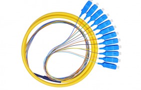 12芯束装尾纤SC/UPC